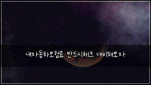 λ΄μλ차보νλ£ λ°λμμ²΄ν¬ λλΉν΄λ³΄μ