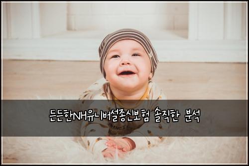 든든한NH유니버설종신보험 솔직한 분석