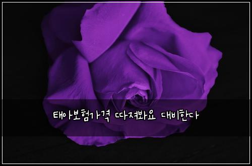 태아보험가격 따져봐요 대비한다