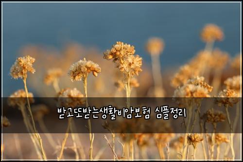 ๋ฐ๊ณ ๋๋ฐ๋์ํ๋น์๋ณดํ ์ฌํ์ ๋ฆฌ