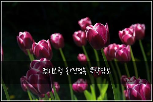 정기보험 완전정복  특약담보