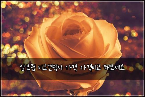 암보험 비교견적서  가격 가격비교 해보세요