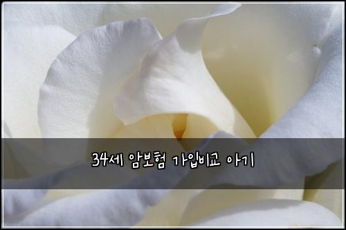 34세 암보험 가입비교  아기 