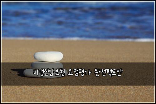 비갱신암보험 요점평가  완전팩트만