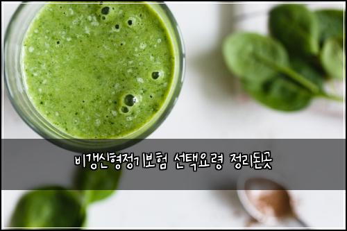 비갱신형정기보험 선택요령  정리된곳