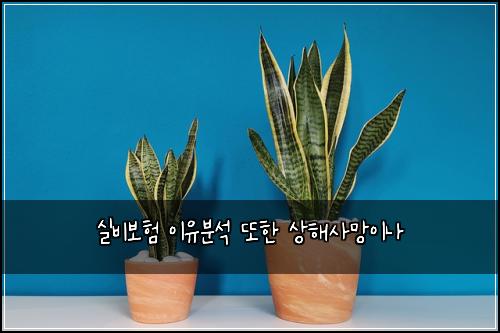 ์ค๋น๋ณดํ ์ด์ ๋ถ์ ๋ํ ์ํด์ฌ๋ง์ด๋