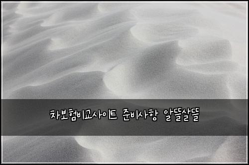 차보험비교사이트 준비사항 알뜰살뜰