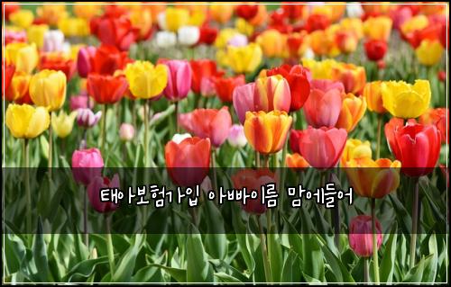 ํ์๋ณดํ๊ฐ์
์๋น ์ด๋ฆ ๋ง์๋ค์ด