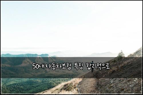 50๋์๋์ฐจ๋ณดํ ํน์ง ํฉ๋ฆฌ์ ์ผ๋ก