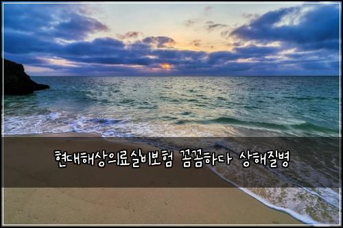 ํ๋ํด์์๋ฃ์ค๋น๋ณดํ ๊ผผ๊ผผํ๋ค ์ํด์ง๋ณ