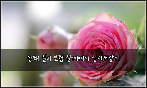 ์ํด ์ค๋น ๋ณดํ ์ค๊ณ์์ ์์ธํ์๊ธฐ