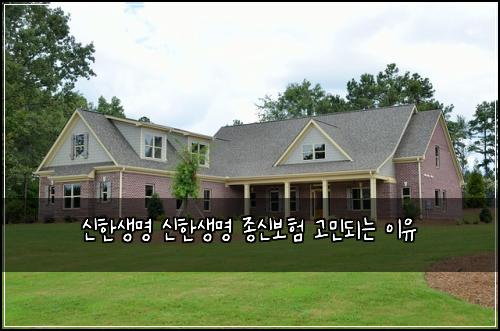 신한생명 신한생명 종신보험 고민되는 이유