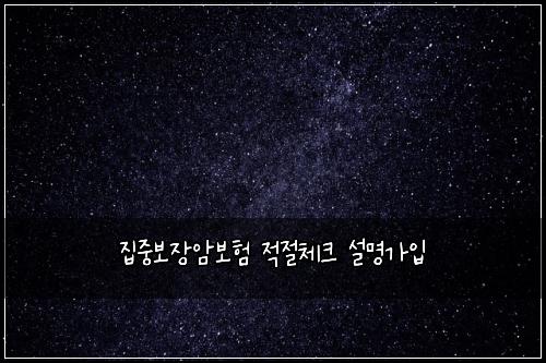 집중보장암보험 적절체크  설명가입