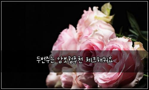 두번주는 암보험추천 체크해둬요