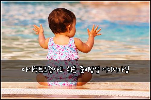 λ€μ΄λ νΈλ³΄νμ¬κ³ μ¬μ΄ μ€λΉλ°©λ² μ΄λμκ°μ