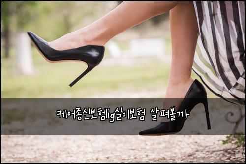 케어종신보험lig실비보험 살펴볼까