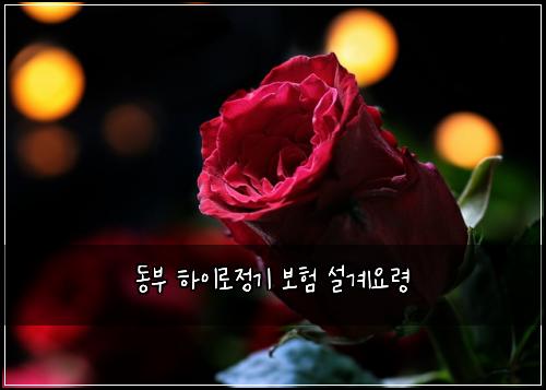 동부 하이로정기 보험 설계요령 