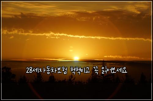28세자동차보험 척척비교  꼭 읽어보세요