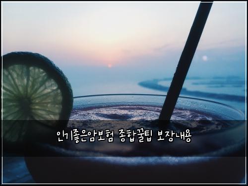 인기좋은암보험 종합꿀팁  보장내용