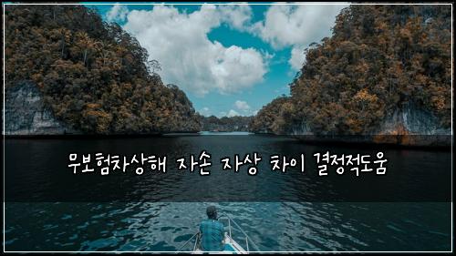 ๋ฌด๋ณดํ์ฐจ์ํด ์์ ์์ ์ฐจ์ด ๊ฒฐ์ ์ ๋์