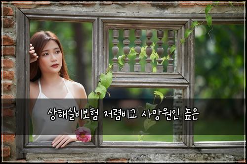 상해실비보험 저렴비교  사망원인 높은