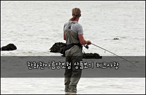 ํํํ์๋ฆ์๋ณดํ ์ํ๋ณด๊ธฐ ์ฒดํฌ์ฌํญ