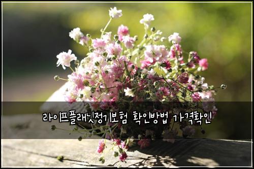 라이프플래닛정기보험 확인방법  가격확인