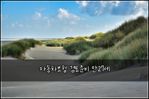 ์๋์ฐจ๋ณดํ ๊ฒํ ์ค๋น ๋ง27์ธ