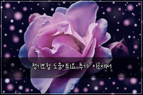 정기보험 도움이되요  추가 이곳에서