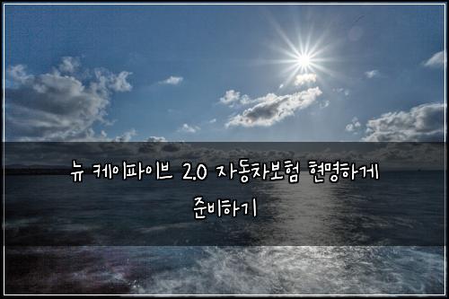뉴 케이파이브 2.0 자동차보험 현명하게 준비하기