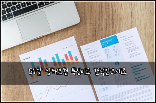 54살 상해보험 특징비교  견적받으세요