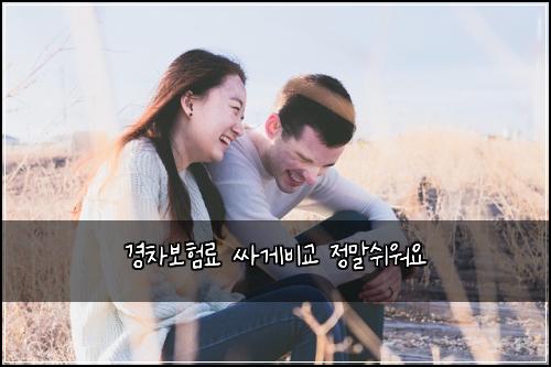 ๊ฒฝ์ฐจ๋ณดํ๋ฃ ์ธ๊ฒ๋น๊ต ์ ๋ง์ฌ์์