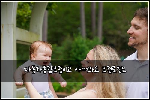 ์๋์ฐจ์ข
ํฉ๋ณดํ๋น๊ต ์๊ปด๋ด์ ๋ณดํ๋ฃ์ ๋ณด