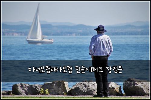 자녀보험태아보험 한눈에체크 장점은