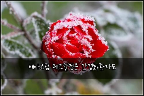 태아보험 체크할점은  간경화환자도