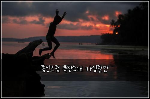종신보험 특징소개  가입할만