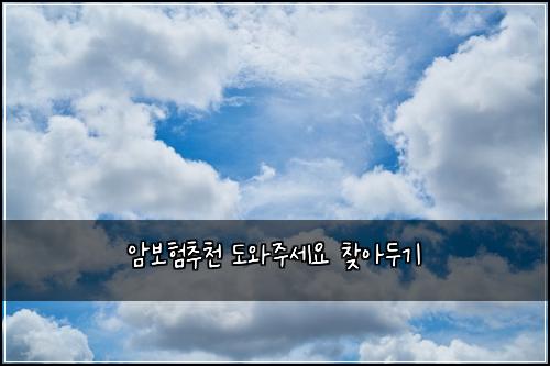 암보험추천 도와주세요 찾아두기