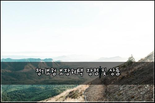 정기보험 보장혜택  장점 및 상품