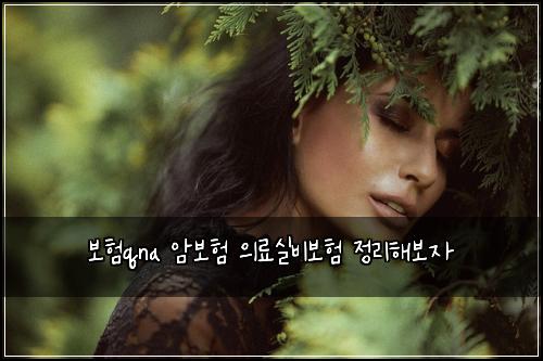 보험qna 암보험 의료실비보험 정리해보자