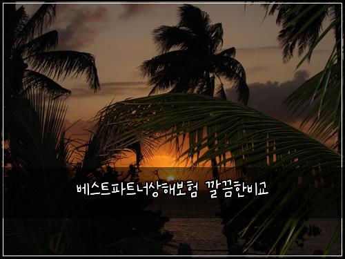 베스트파트너상해보험 깔끔한비교 