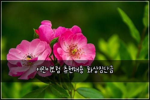 ์ด๋ฆฐ์ด๋ณดํ ์ธ์ฒํด์ฉ ํ์์ง๋จ๊ธ