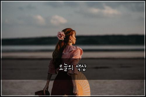 오늘의 색상