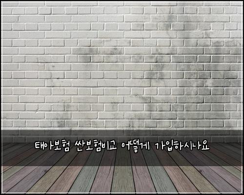 ํ์๋ณดํ ์ผ๋ณดํ๋น๊ต ์ด๋ป๊ฒ ๊ฐ์
ํ์๋์