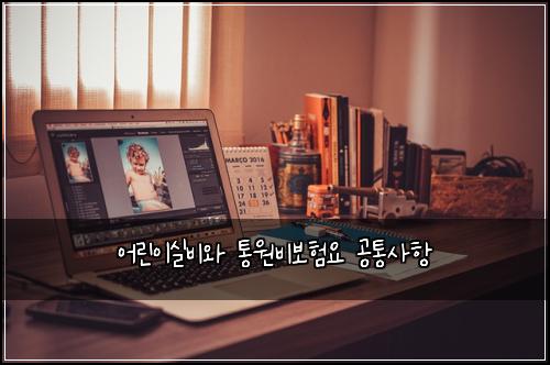 어린이실비와 통원비보험요 공통사항