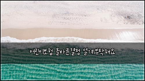 ์ด๋ฆฐ์ด๋ณดํ ์ฌ๋ฐ๋ฅธ๊ฒฐ์ ์ค๊ณ๋ถํํด์