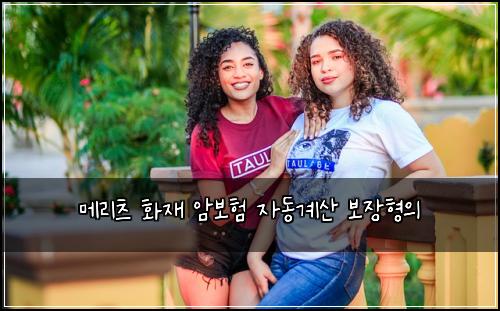 ๋ฉ๋ฆฌ์ธ ํ์ฌ ์๋ณดํ ์๋๊ณ์ฐ ๋ณด์ฅํ์
