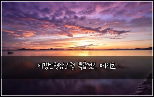 비갱신형암보험 특급정보  메리츠