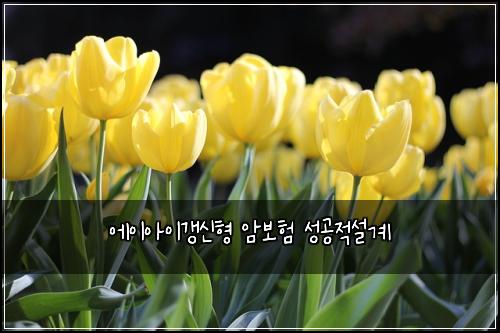 ์์ด์์ด๊ฐฑ์ ํ ์๋ณดํ ์ฑ๊ณต์ ์ค๊ณ