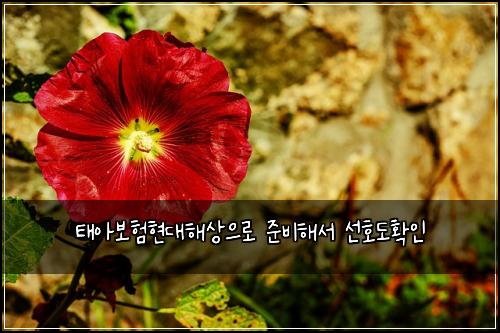 ํ์๋ณดํํ๋ํด์์ผ๋ก ์ค๋นํด์ ์ ํธ๋ํ์ธ