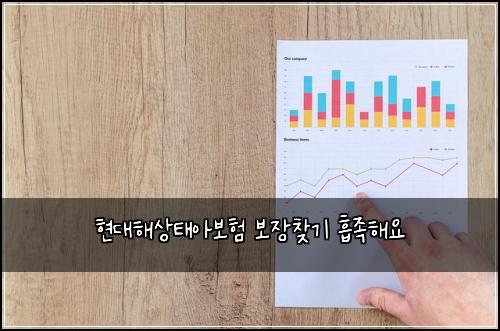 현대해상태아보험 보장찾기  흡족해요